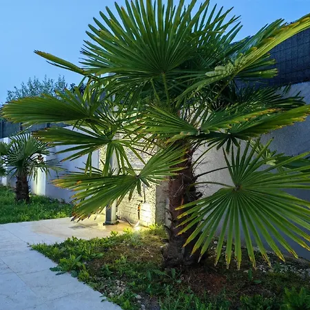 Mit Privatpool Fuer 10 Personen Ca 150 Qm In Pomer, Istrien Istrische Riviera Holiday home Pomer